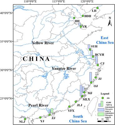 Distribution and Diversity of Comammox Nitrospira in Coastal Wetlands of China